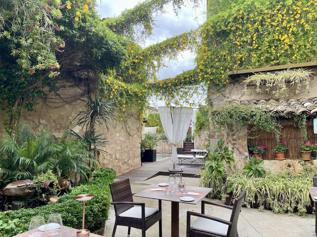 CAPO by Noelia - Restaurant Sineu