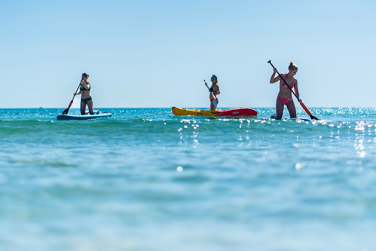 Vandsport Mallorca I Kitesurfing, Windsurfing, Wingfoil, Paddlesurf, Katamaran Center
