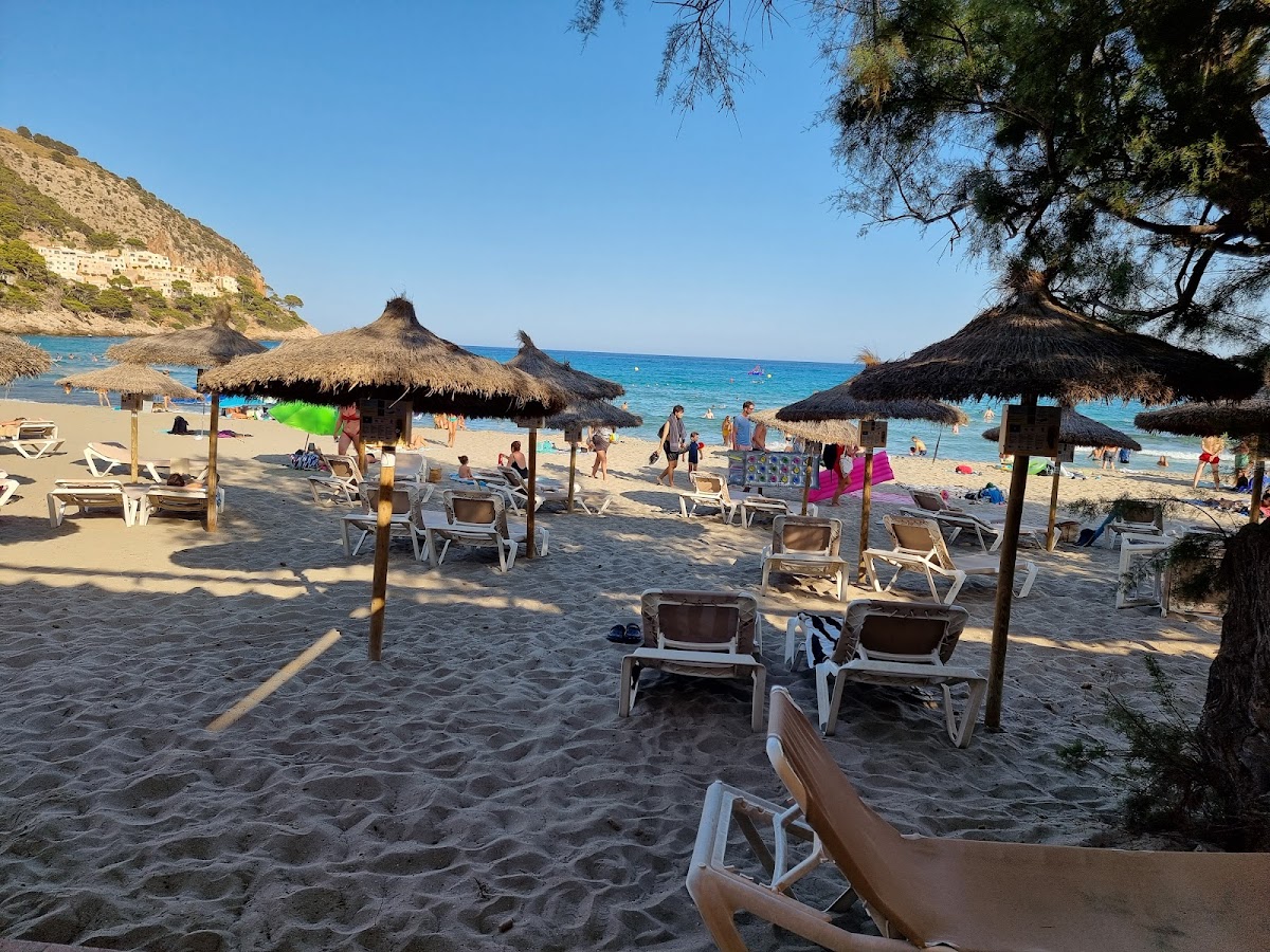 Restaurant canyamel