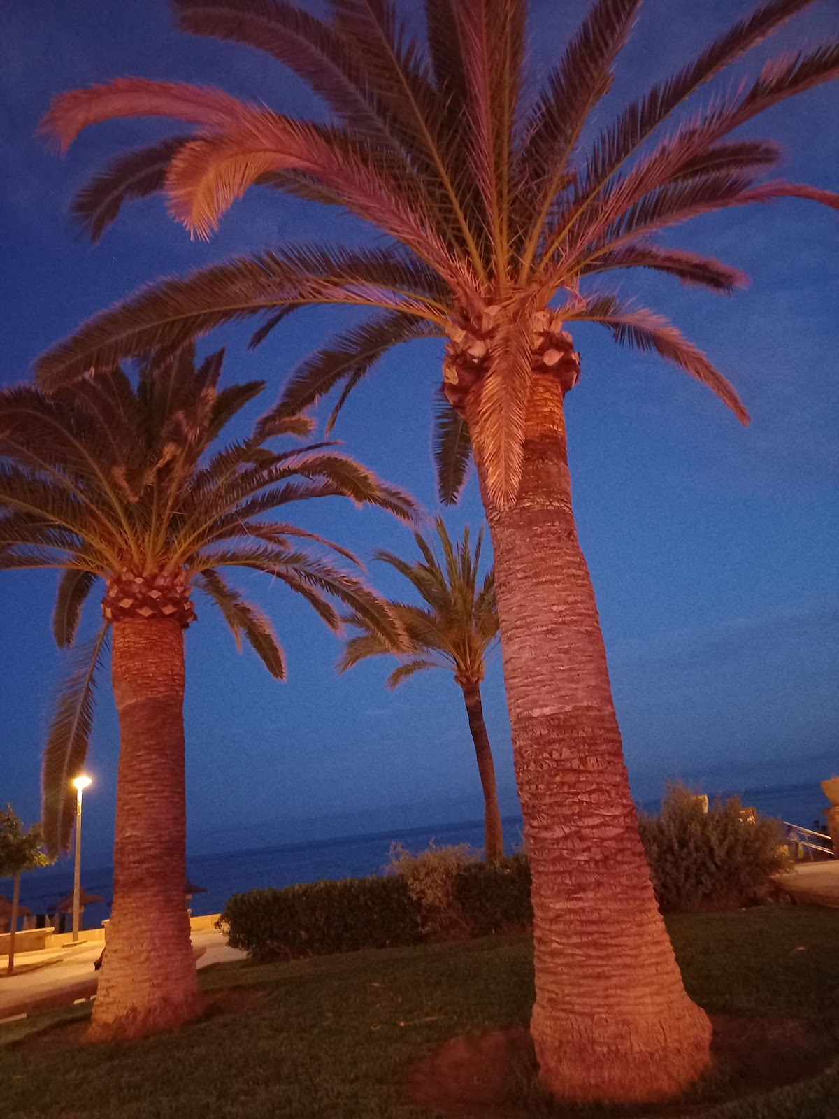 Restaurante Diablito Portixol - Menjar i Música