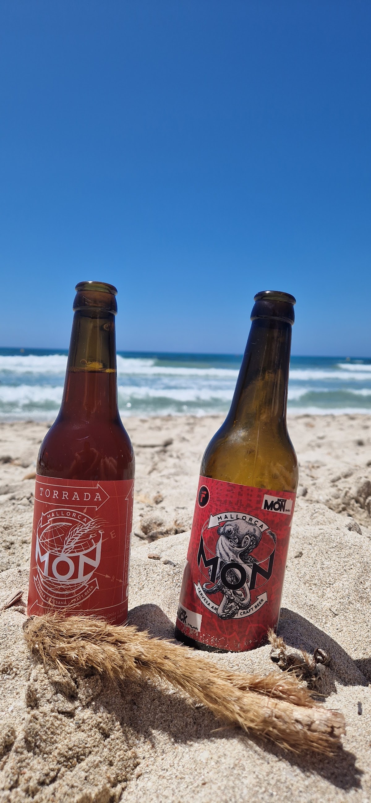 Món, bière artisanale