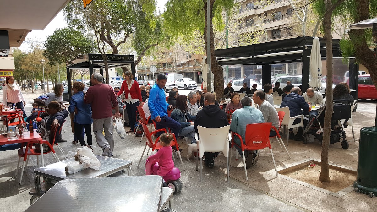 CAFÉ SON OLIVA
