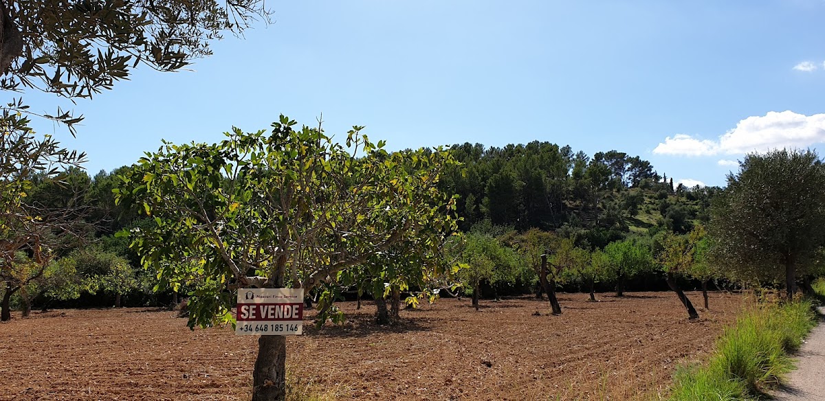 Moscari Finca Service S.L.
