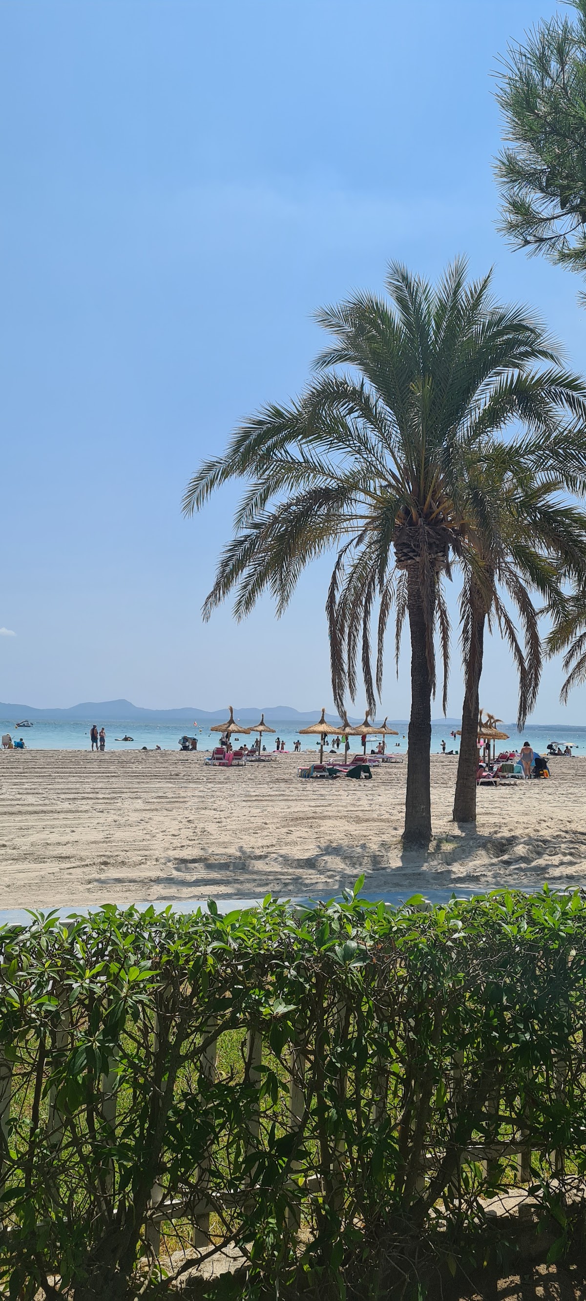 La Tasca Sunwing Alcudia Strand