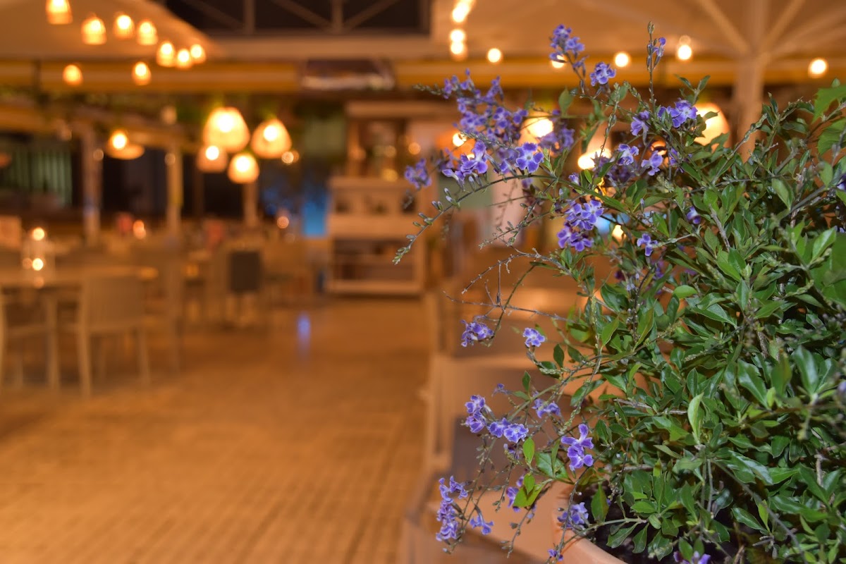 Restaurant Nacional