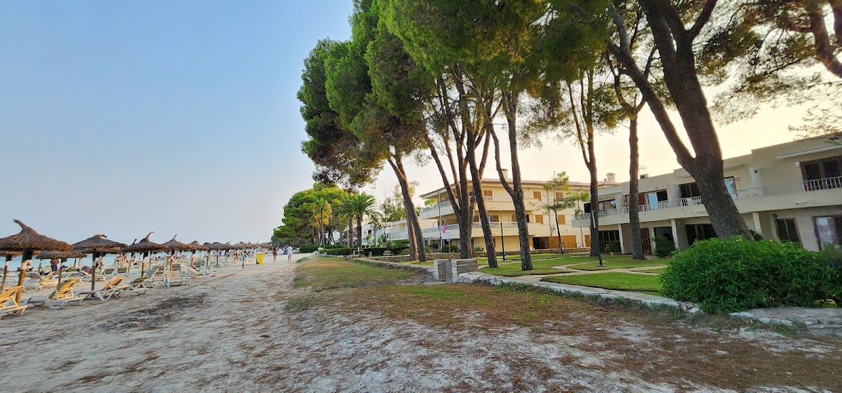 Playa Palomas