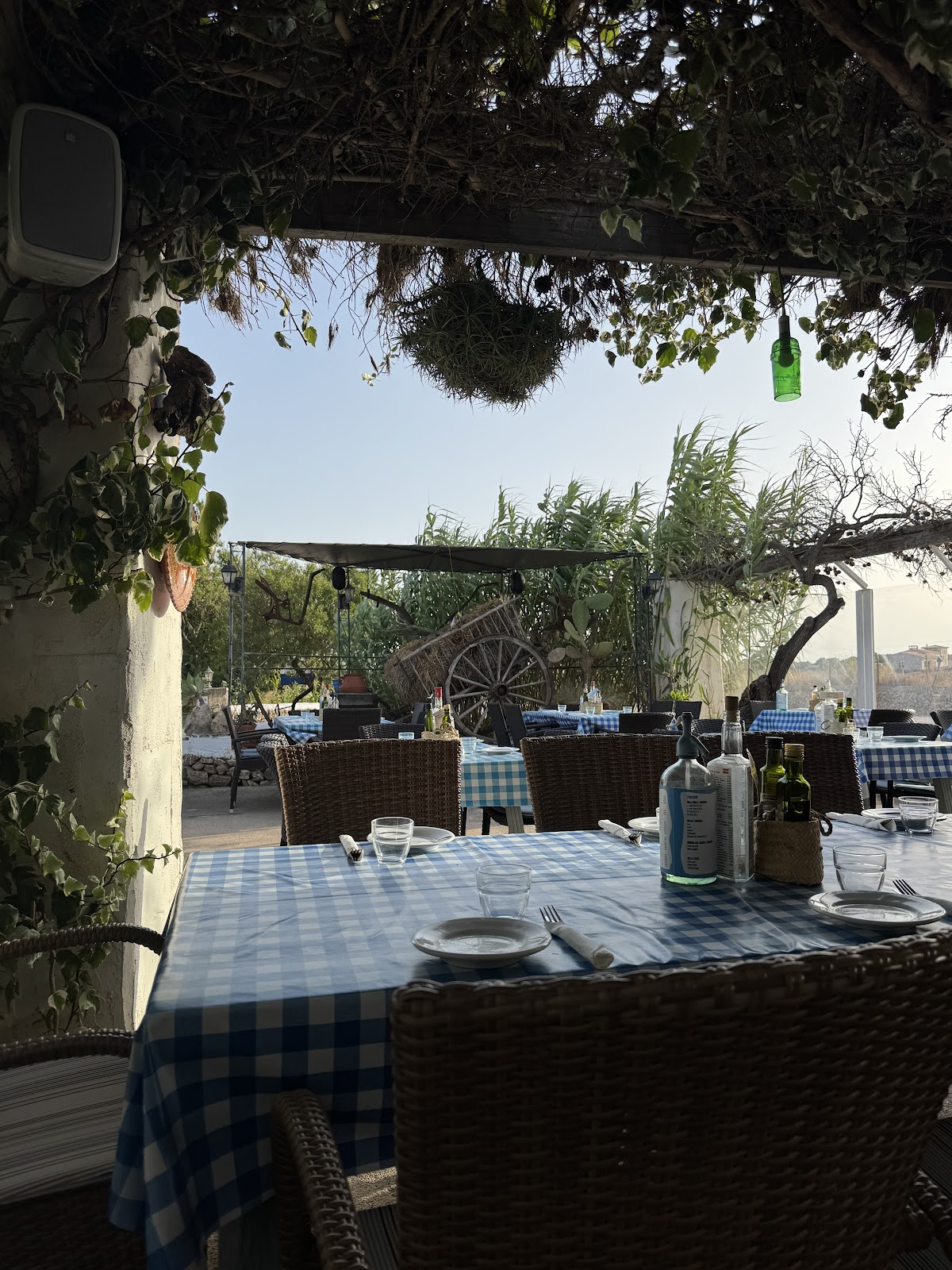Restaurant Can Senae
