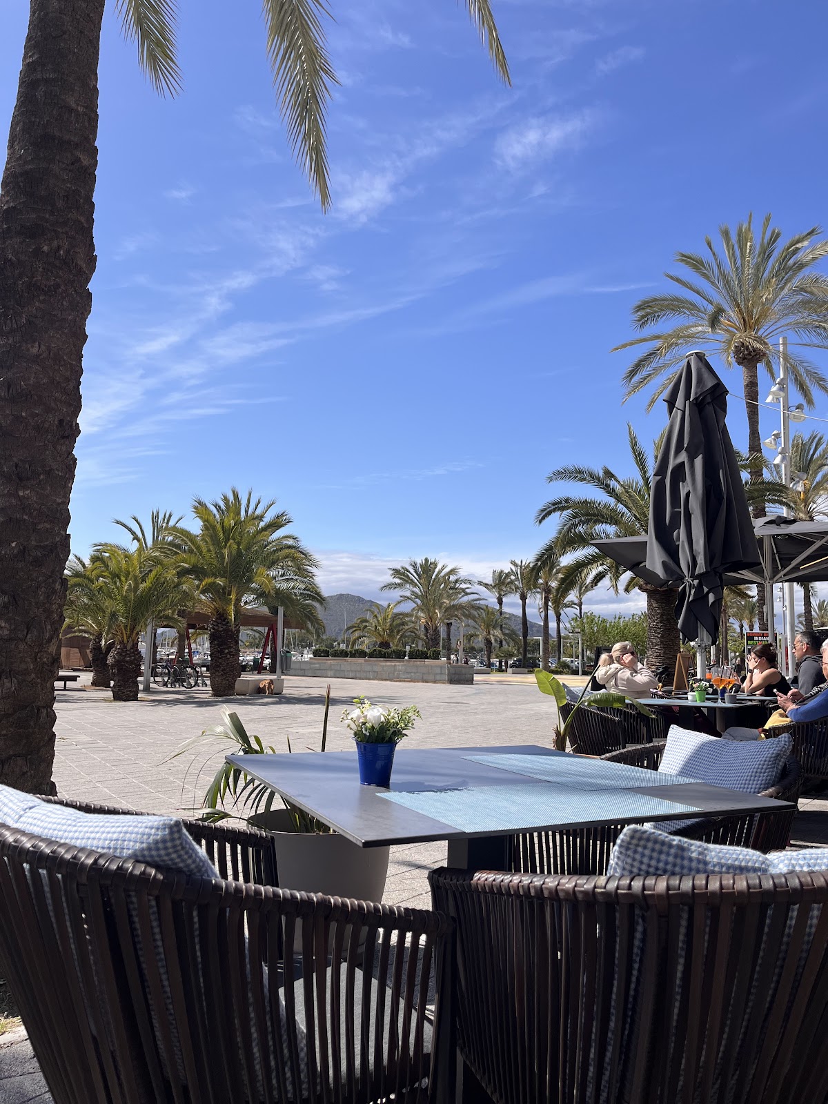Club Restaurante Bellavista