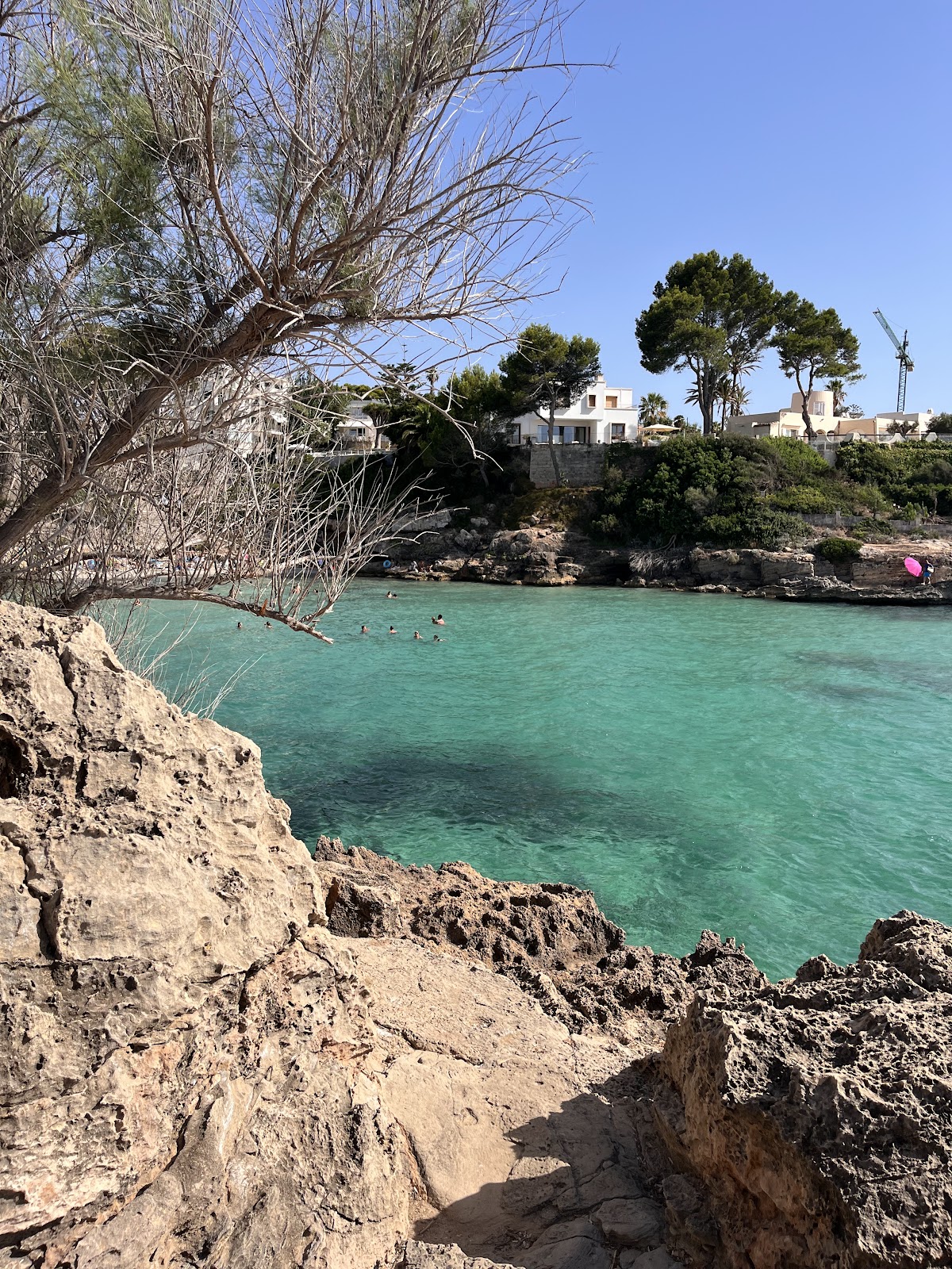 Cala Mosques