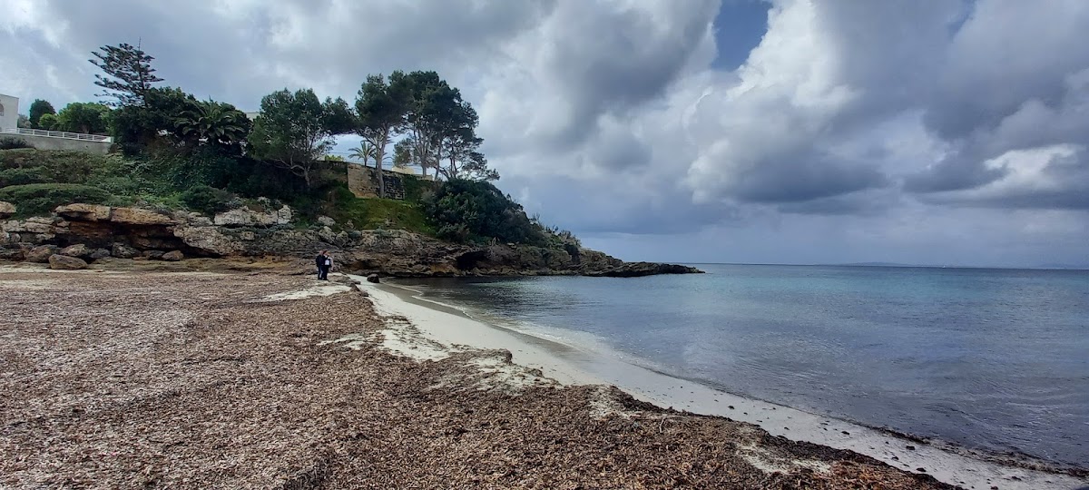 Cala Mosques