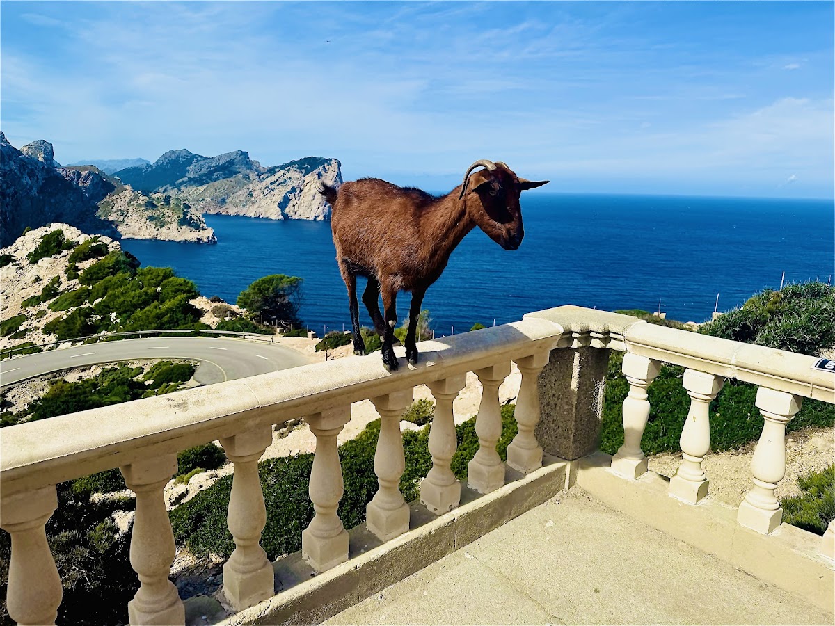 Miradouro Farol de Cap Formentor
