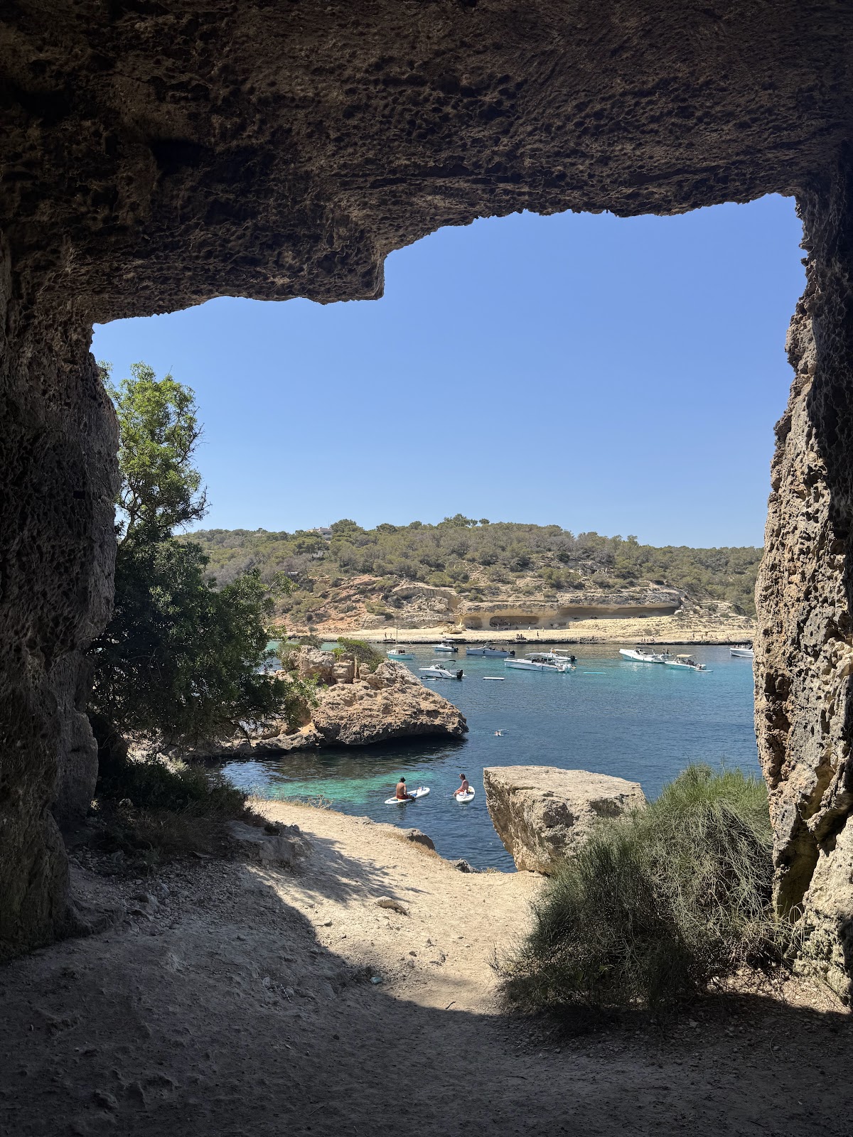 Cova de Portals Vells