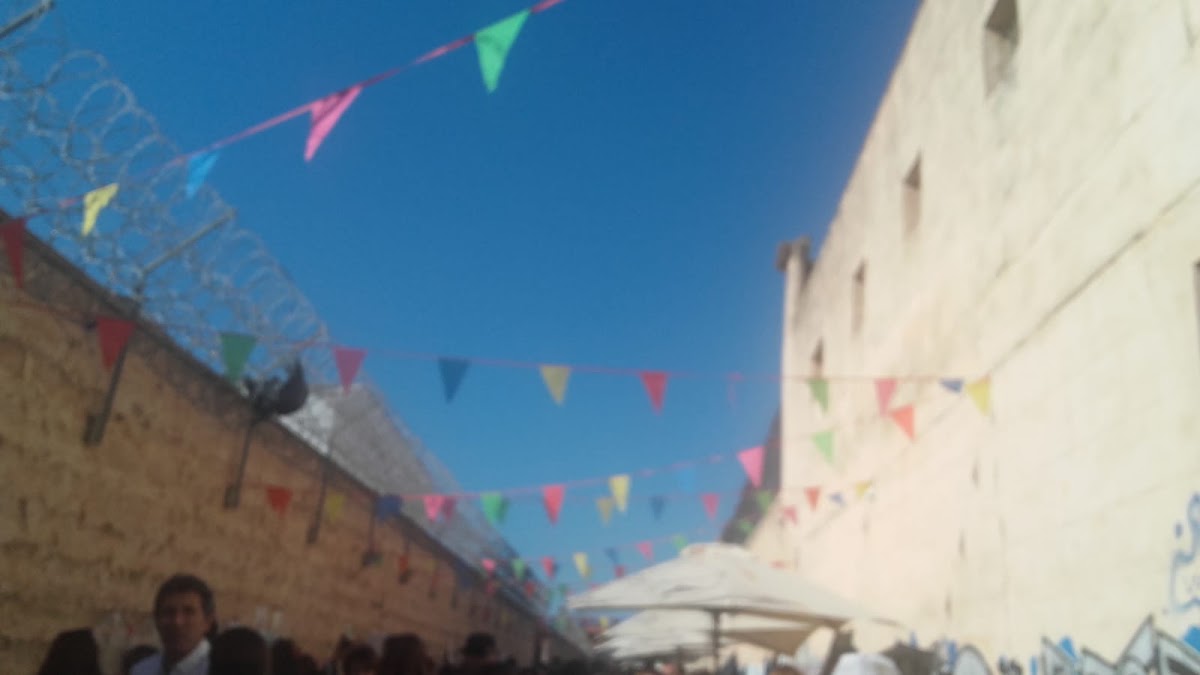 Mercado Rata