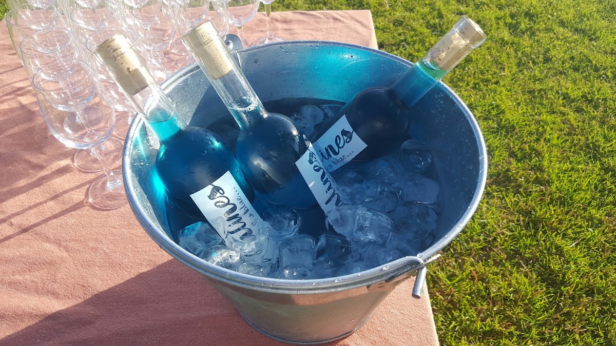 Mallorca Wine Tours
