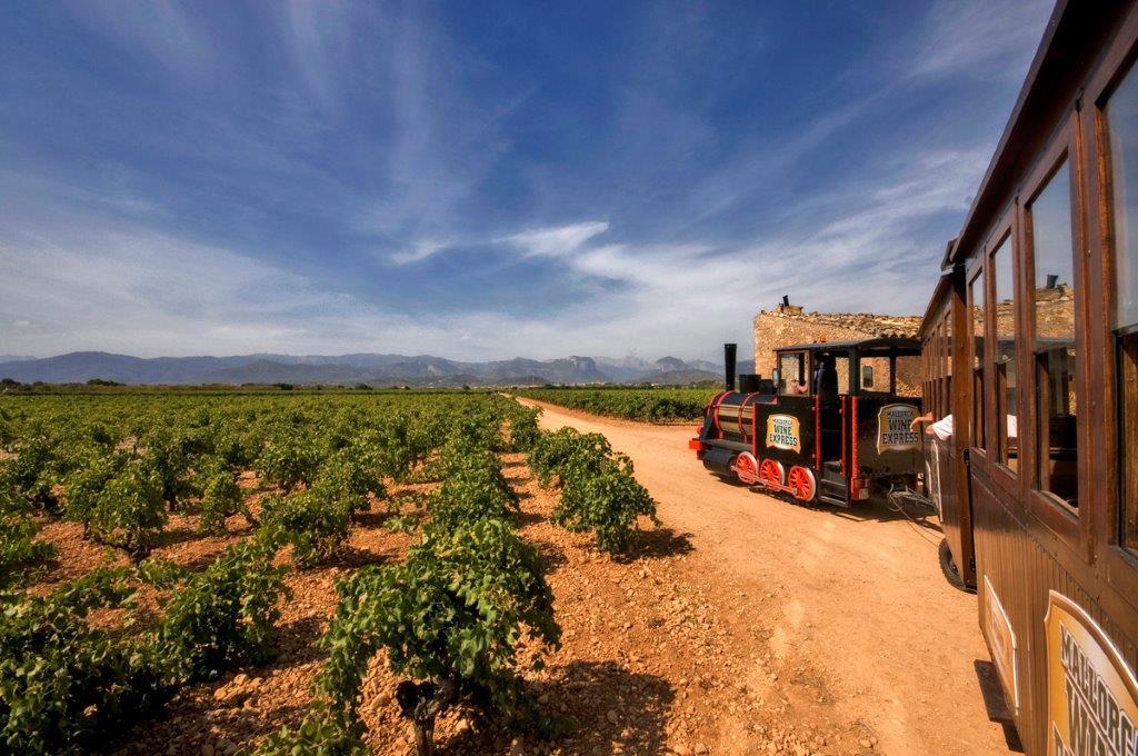 Mallorca Wine Tours