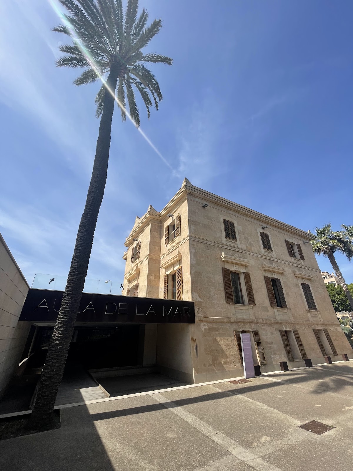 Biblioteca Municipal Molinar - Aurora Picornell