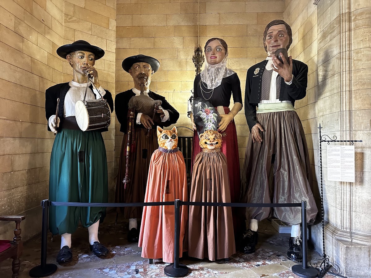 Biblioteca de Cort
