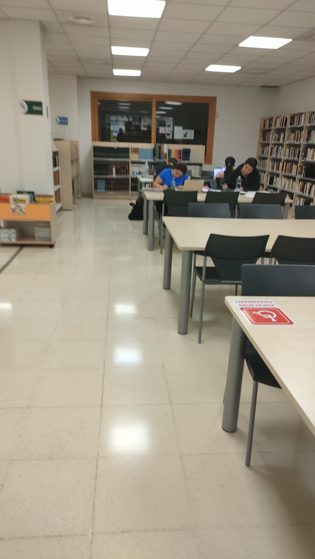 Biblioteca Municipal Son Gotleu