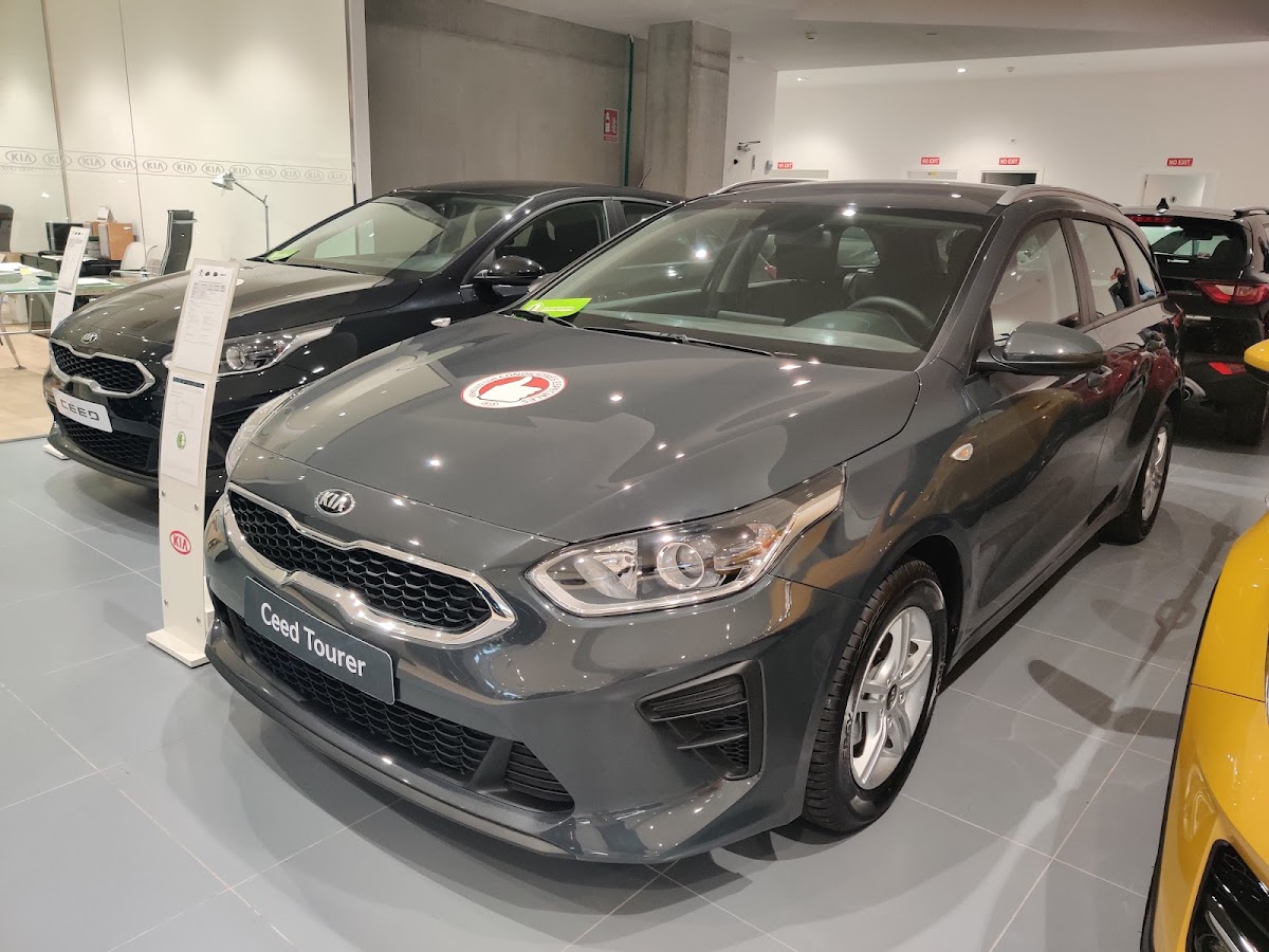 Kia Autovidal Palma