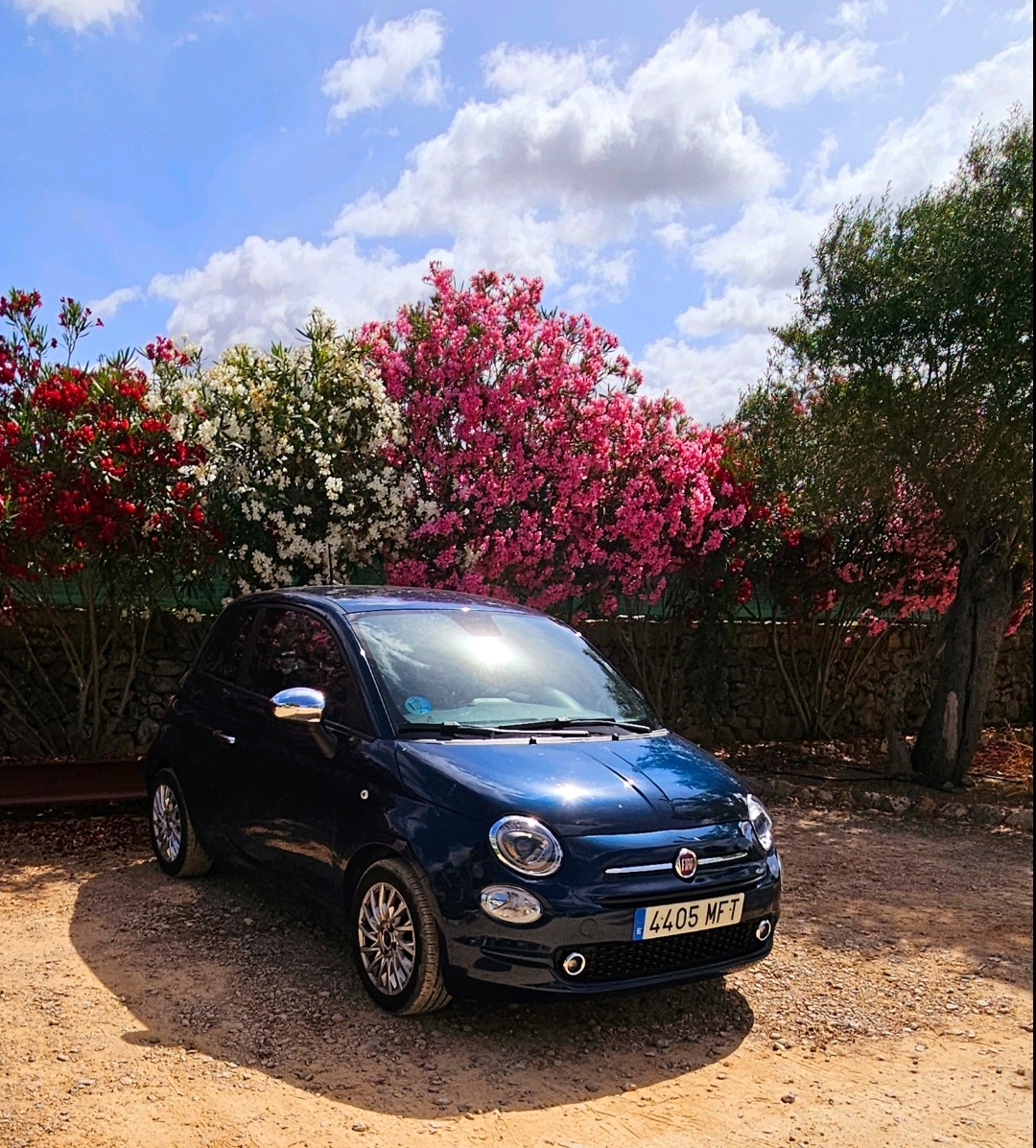 Wiber Rent a Car - Mallorca