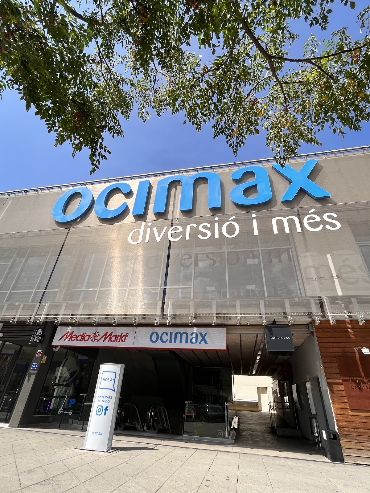 Ocimax Palma Aficine