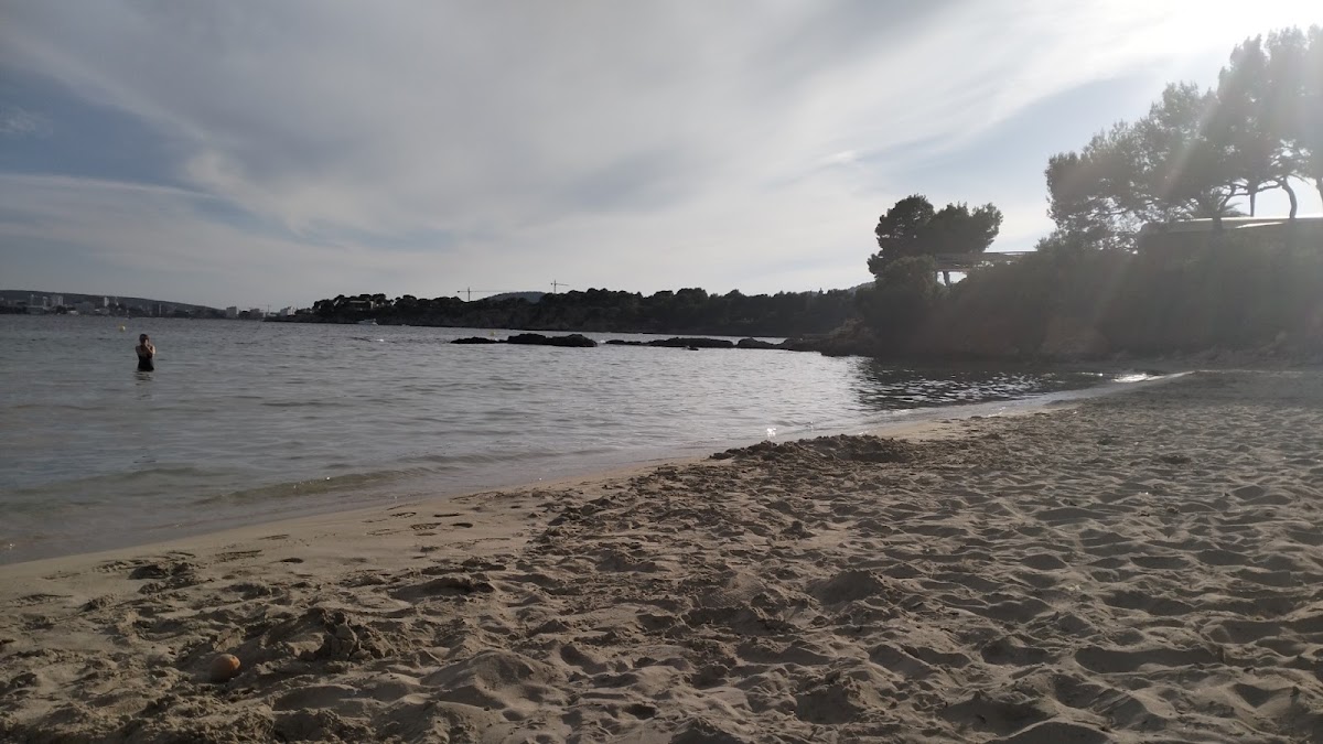 Platja de Punta Portals