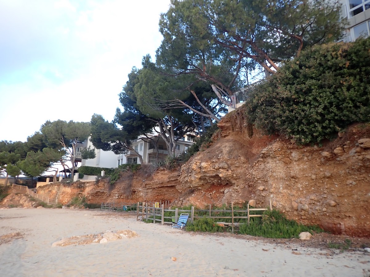 Platja de Punta Portals