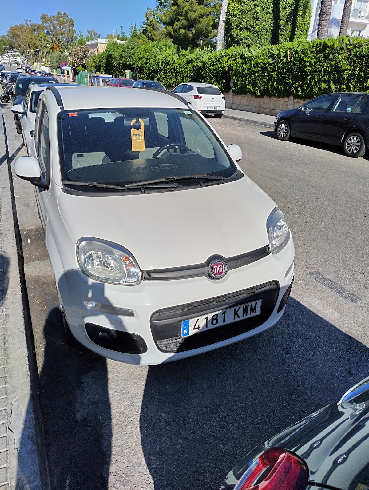 Rent a Car Salesca