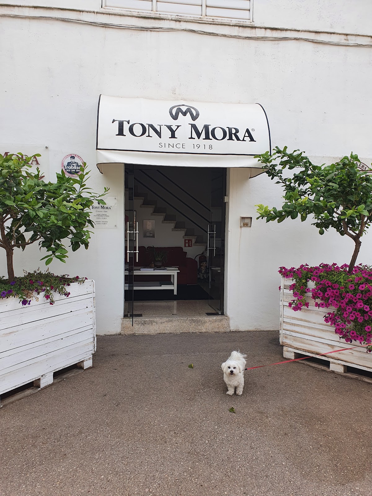 Tony Mora | Magasin de Bottes Cowboy | Cowboystiefel Mallorca