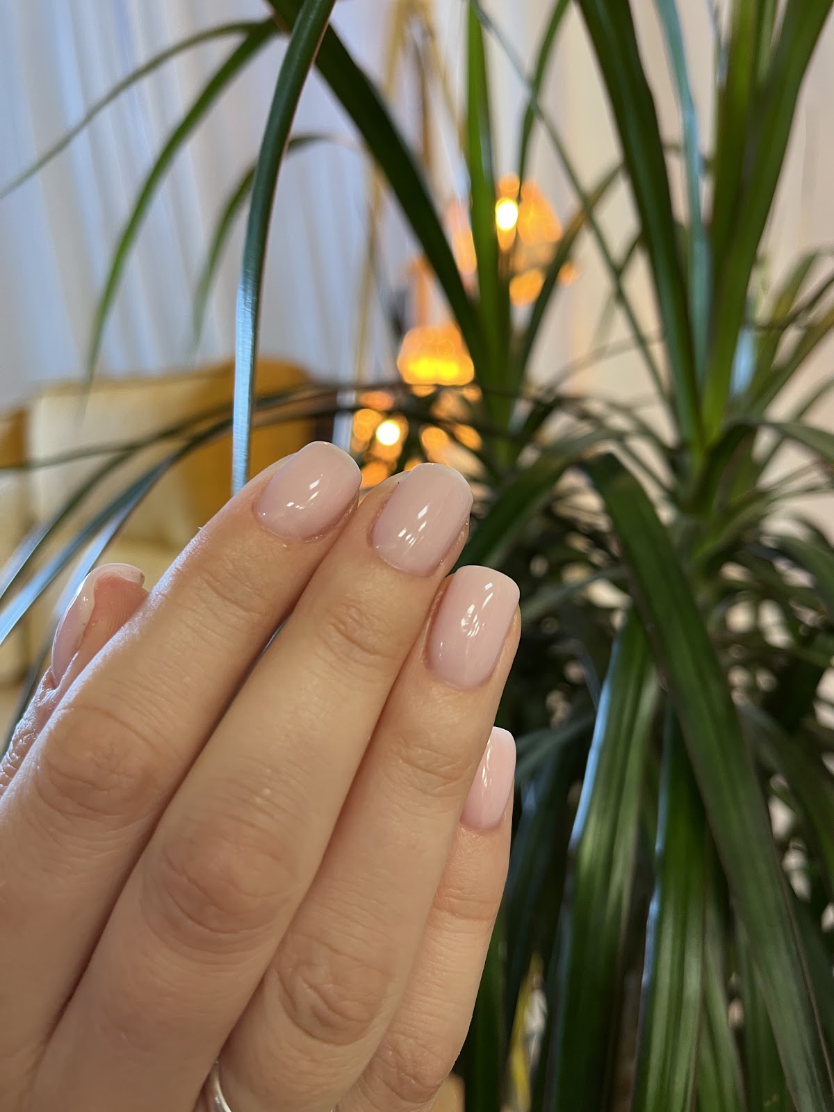 The Nail Bar Mallorca