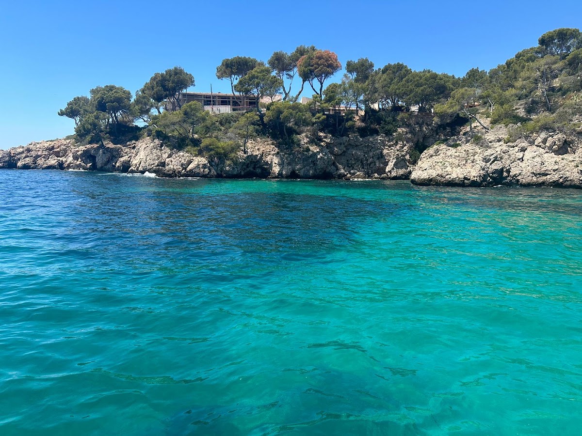RENT KING MALLORCA