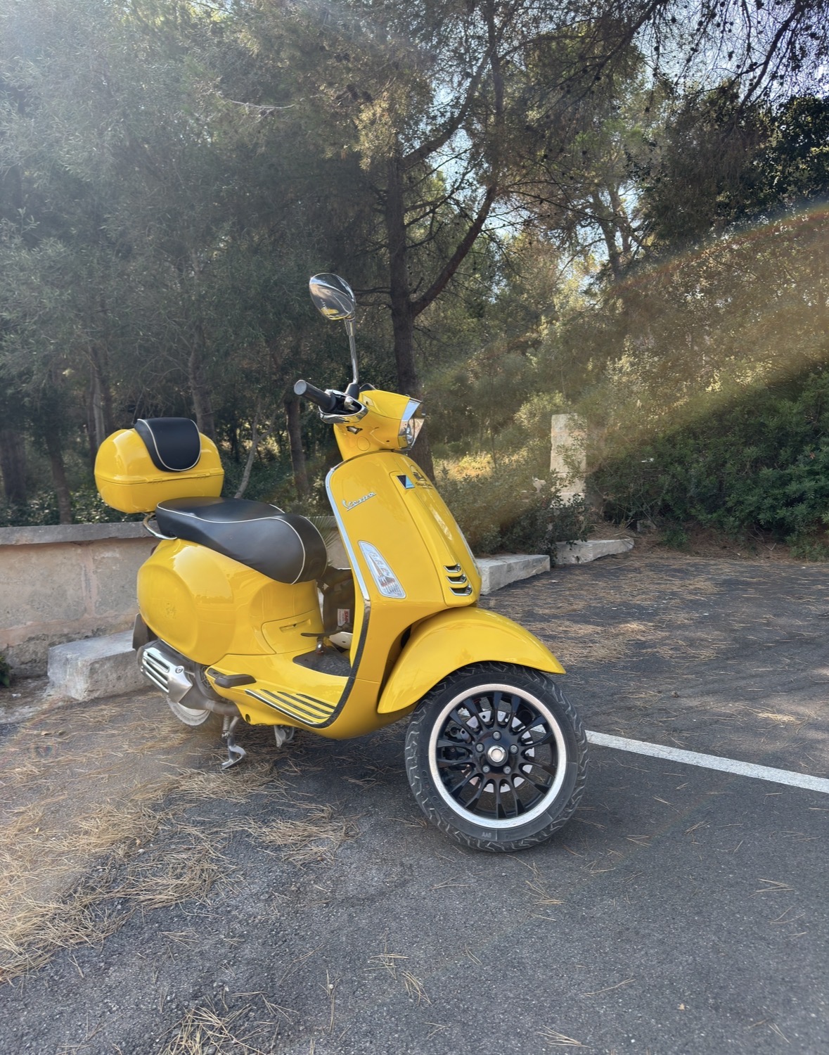 Lloguer de Vespes Alcudia| Amants de les Vespes