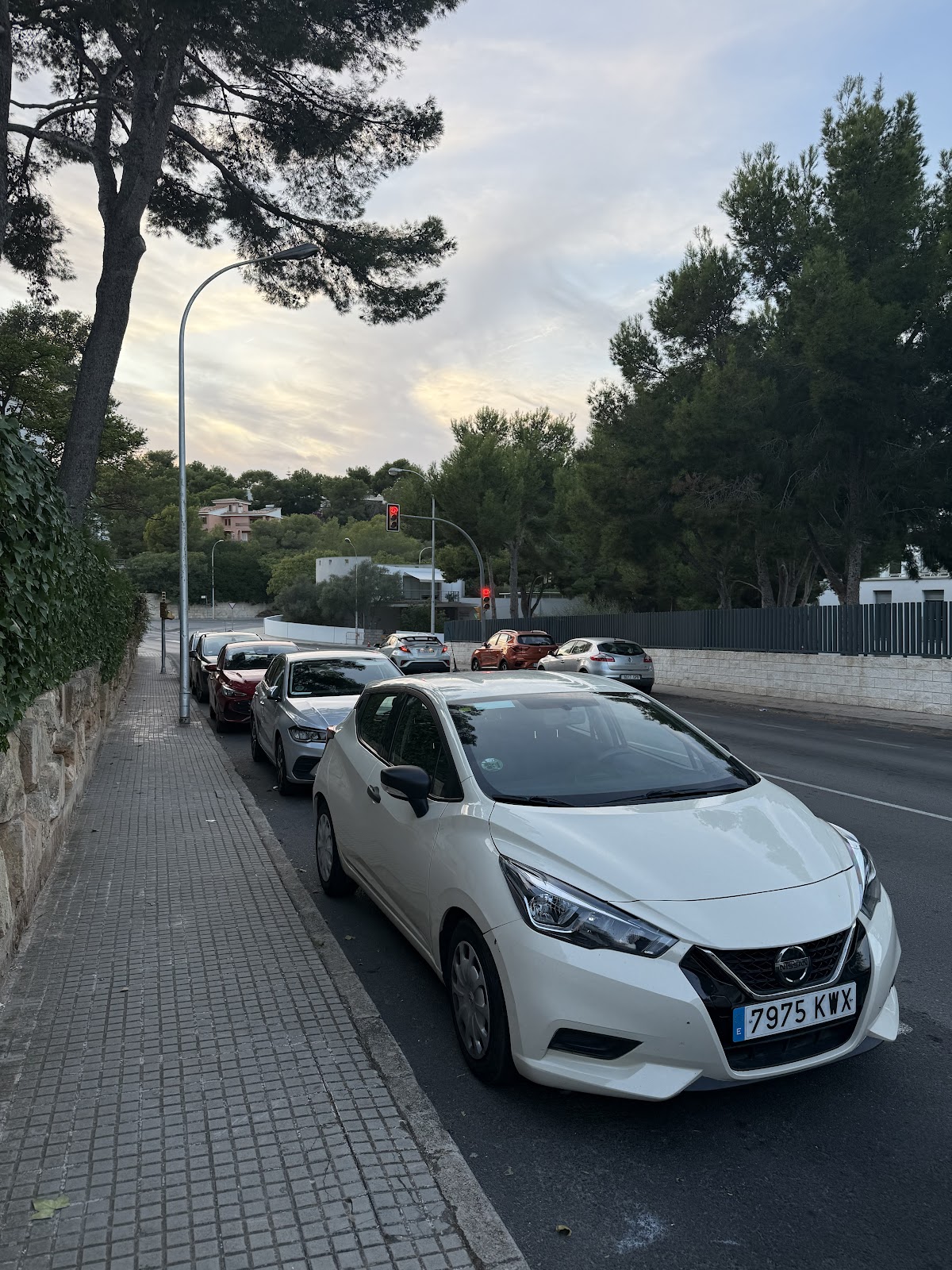 Fc Rent a Car