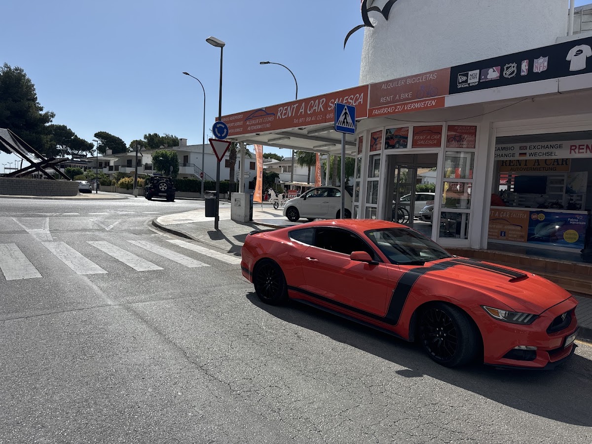 Rent a Car Salesca