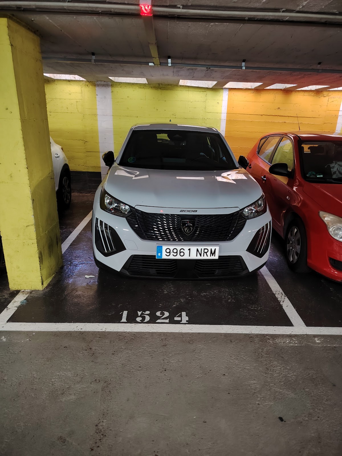 Protur Cars Palmeras