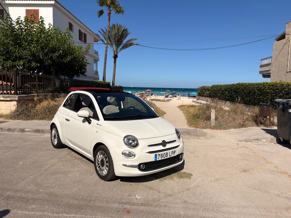 Protur Cars Palmeras