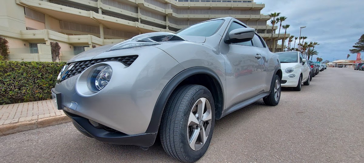 Protur Cars Palmeras