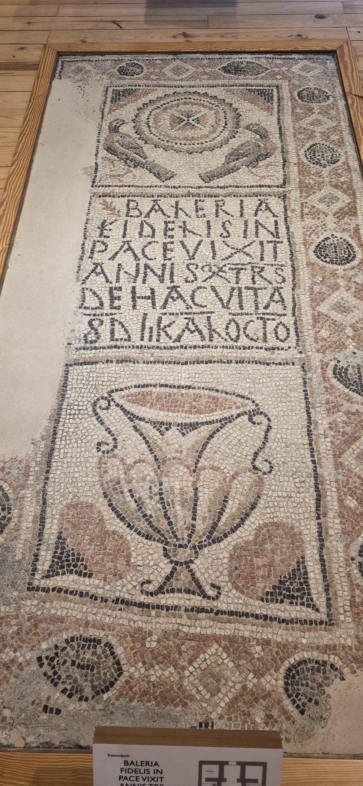 Manacor History Museum