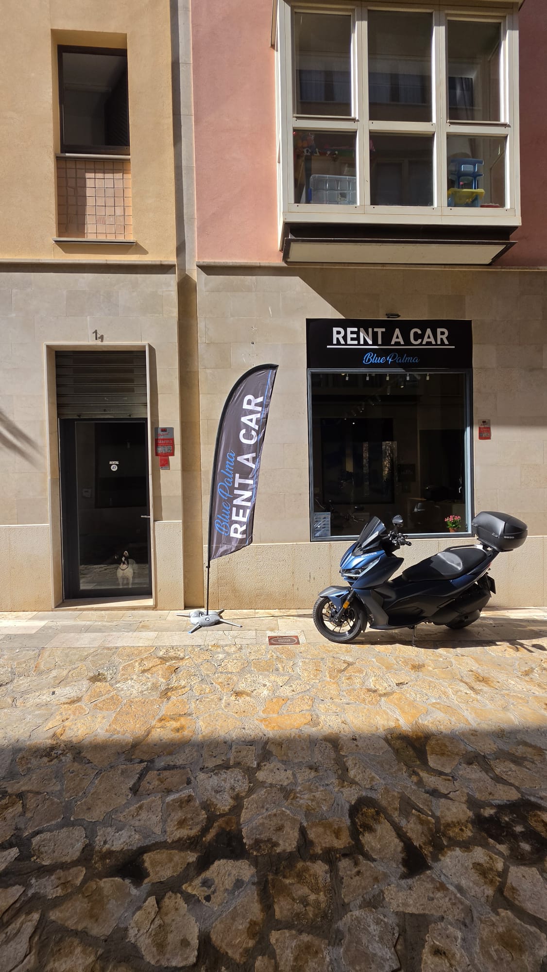 Rent a Car Blue Palma