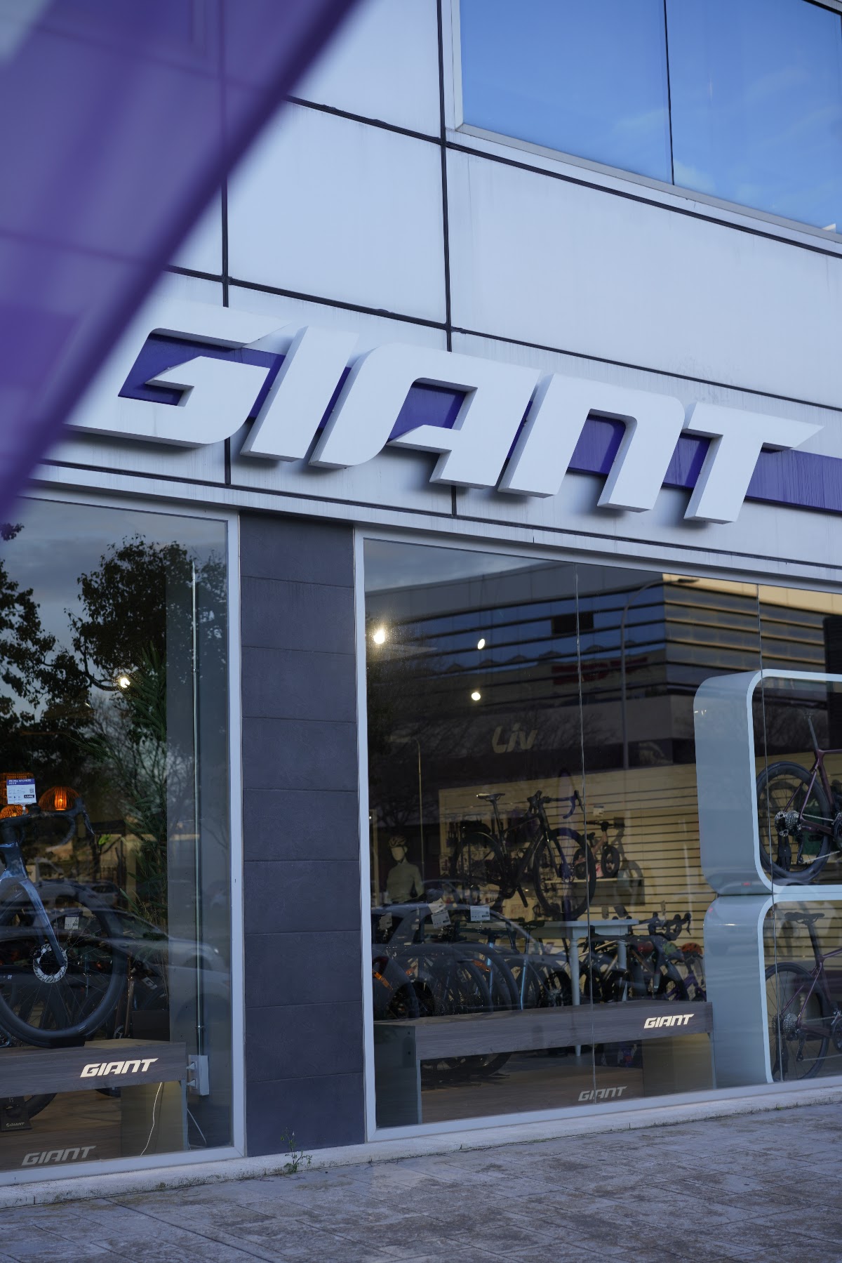 Giant Store Palma