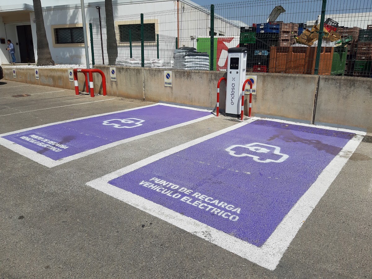 Endesa Punto de Carga Eléctrica