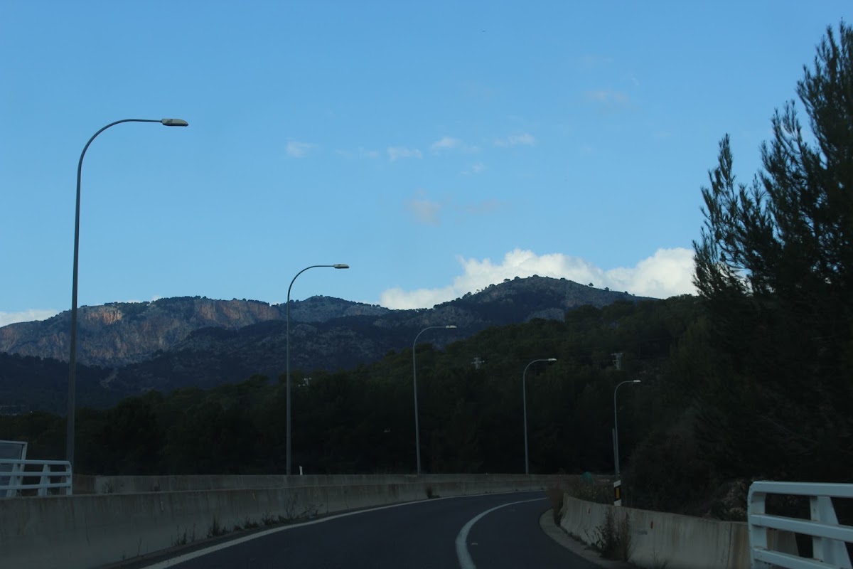 Bulevar de Peguera