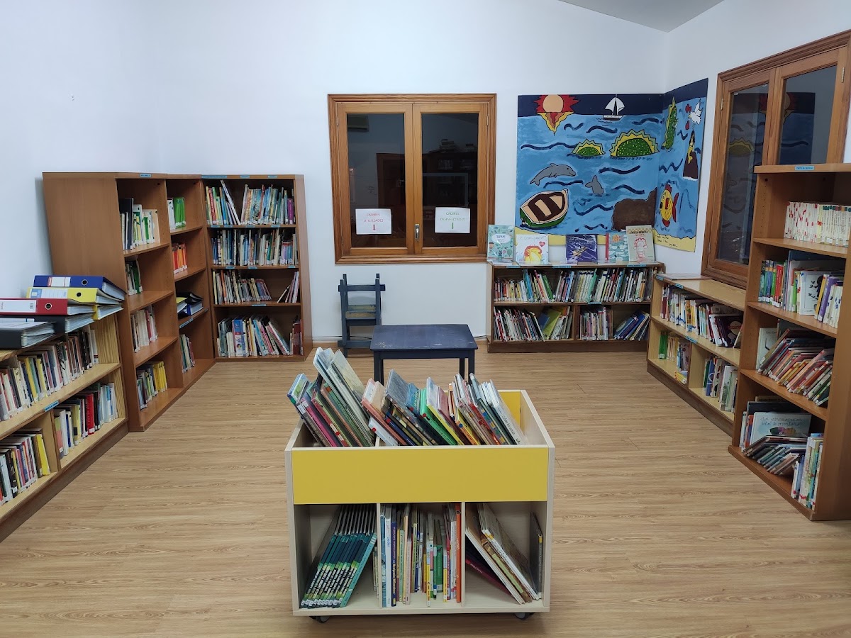 Punt de biblioteca de la Colònia de Sant Pere