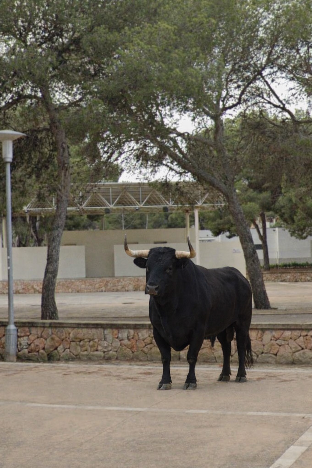 Plaça Europa (El Toro)