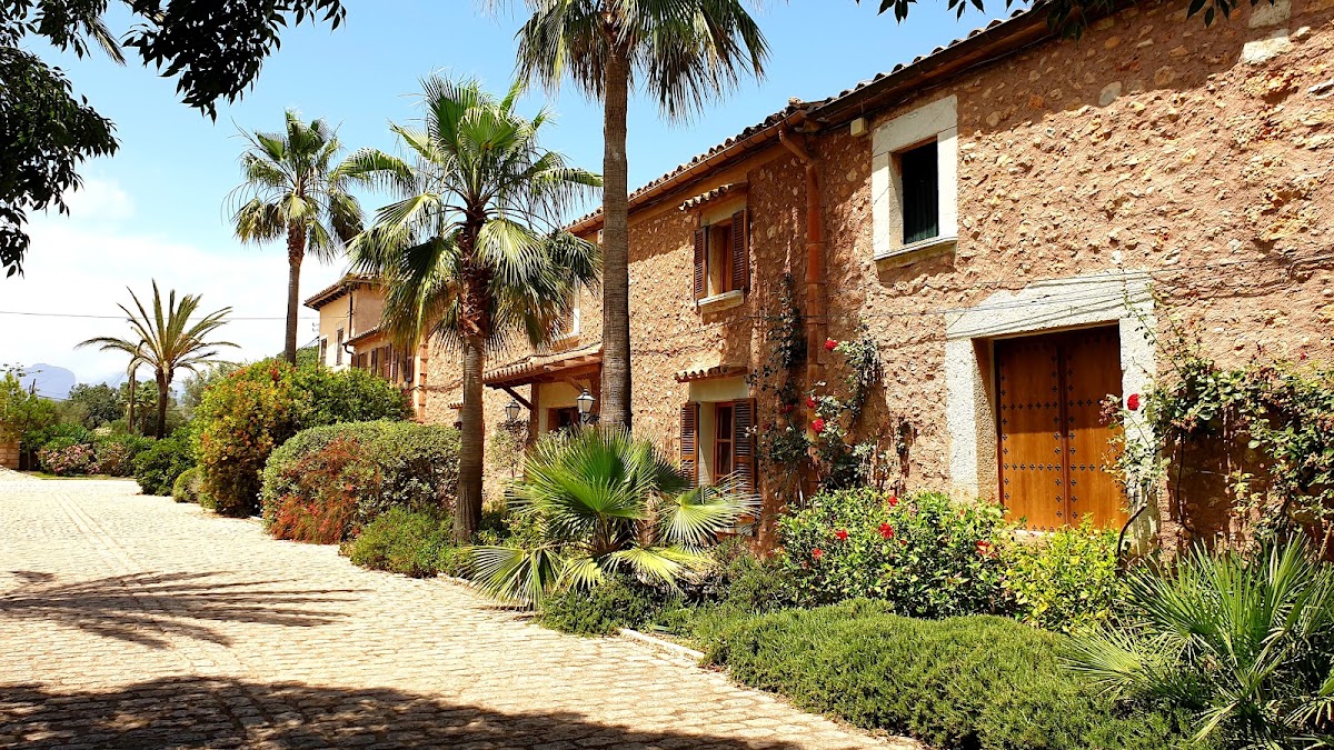Bodega Biniagual