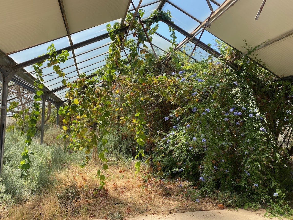 TANA Mallorca BioHub
