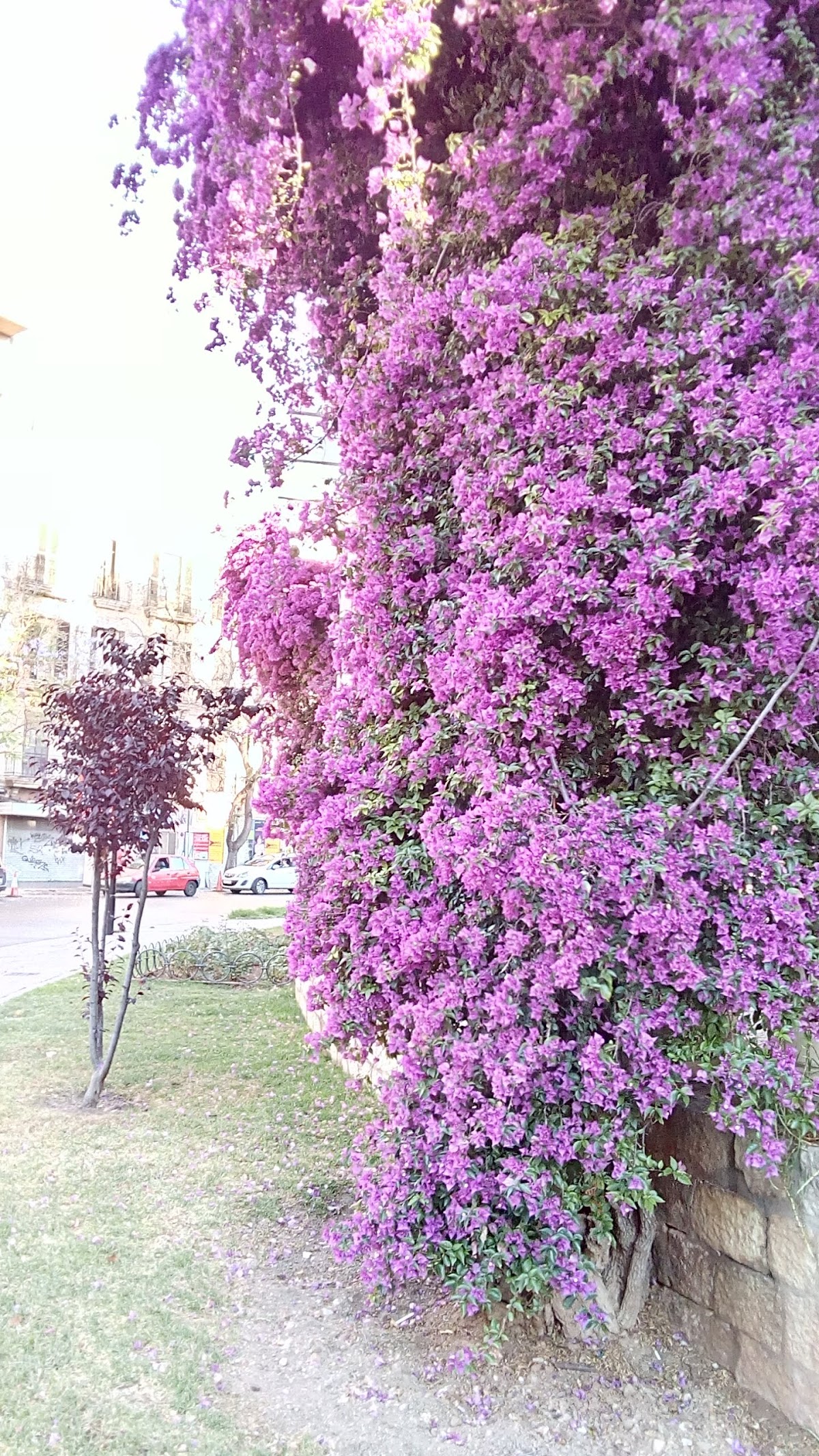 Plaça Francesc García i Orell
